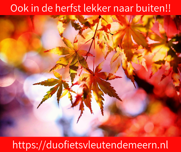 Je ziet op dit plaatje herfstbladeren en herfstkleuren. Ons motto is: Ook in de herfst fijn naar buiten op de duofiets!