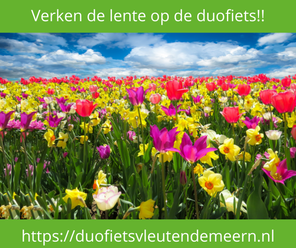 Je ziet op dit plaatje bloeiende tulpen, narcissen in een veld met daarboven een blauwe lucht op de achtergrond. Ons motto is: Ook in de lente fijn naar buiten op de duofiets!