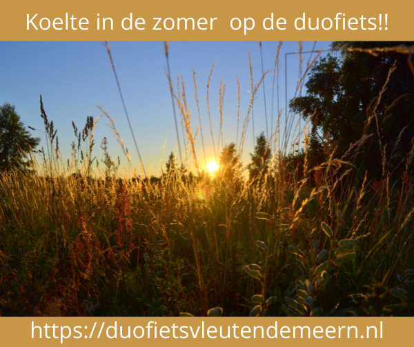 Je ziet op dit plaatje grassen en korenaren in een veld met daarboven een blauwe lucht met een oranjegele zon p[ de achtergrond. Ons motto is: Ook in de zomer fijn naar buiten op de duofiets!